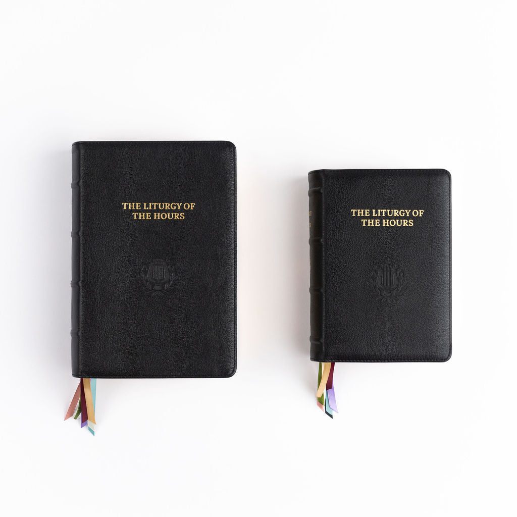 Standard Leather / Standard Print