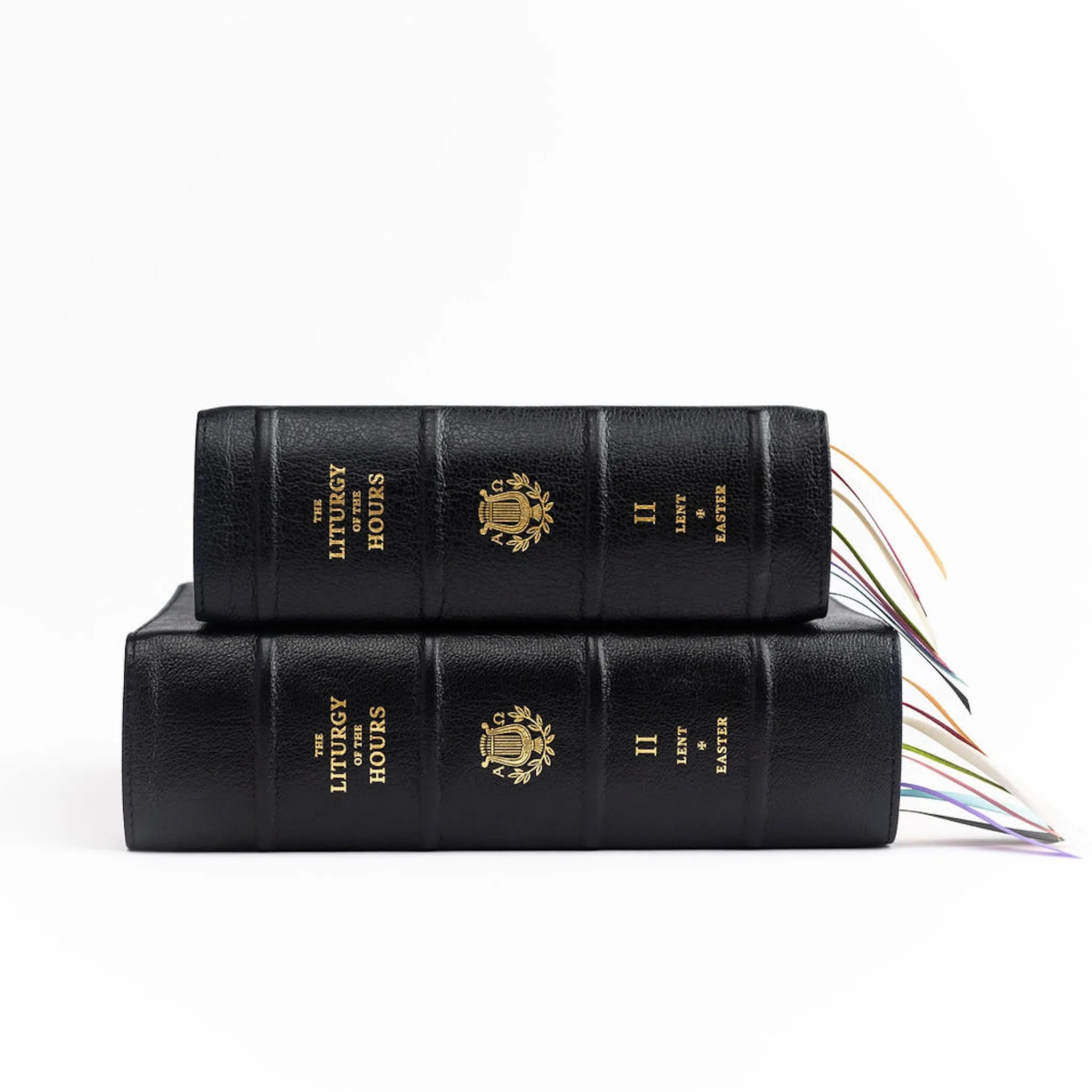 Standard Leather / Standard Print