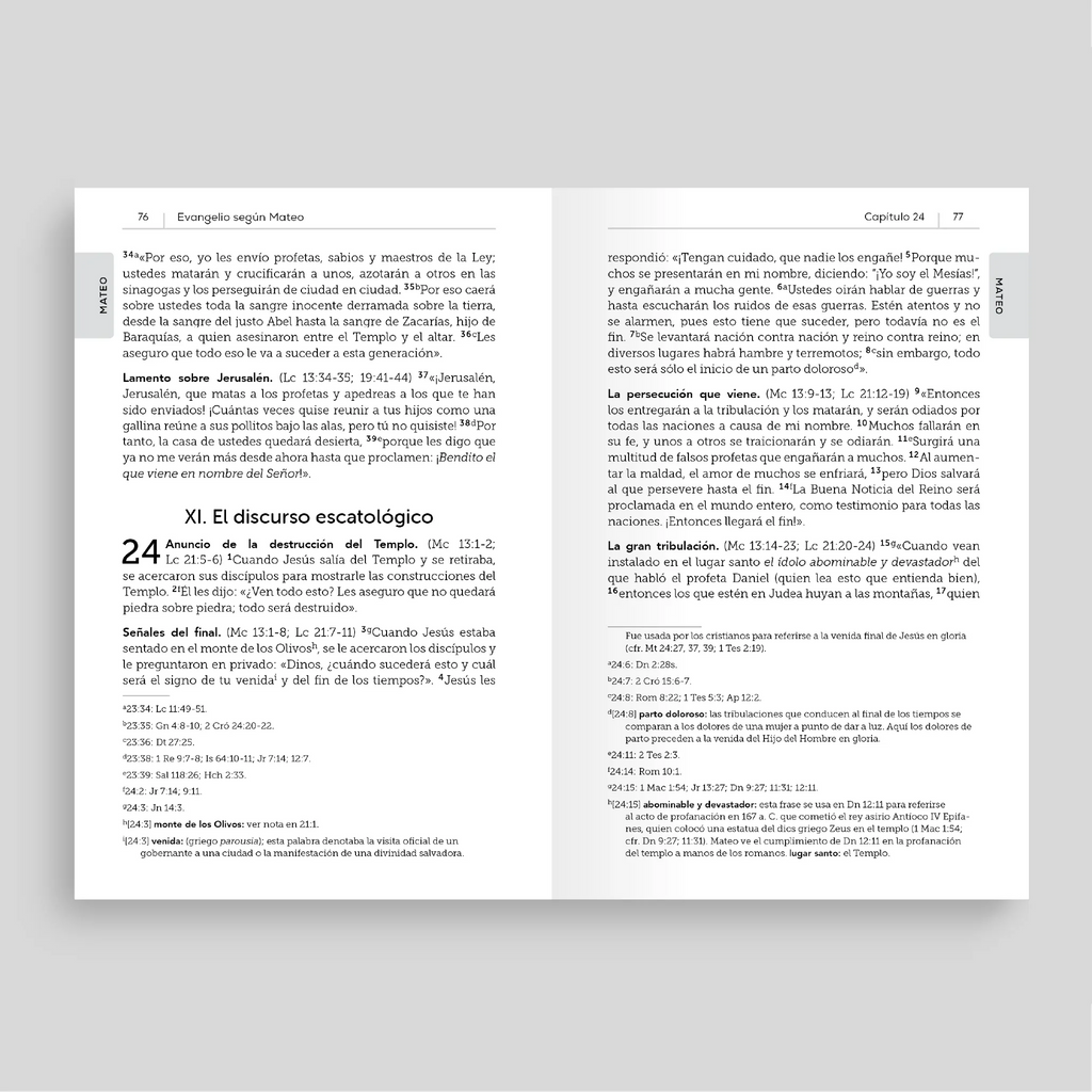 Interior of La Biblia de la Iglesia en América: Nuevo Testamento open to chapter 24 of the Gospel of Matthew