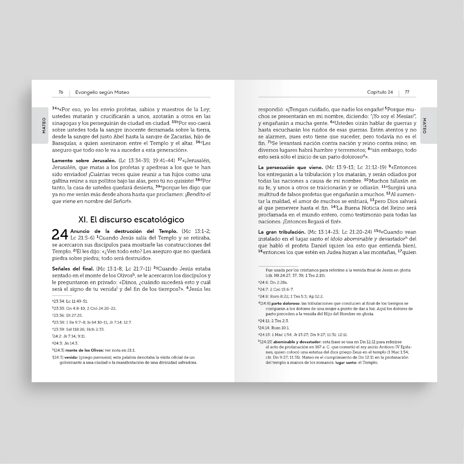 Interior of La Biblia de la Iglesia en América: Nuevo Testamento open to chapter 24 of the Gospel of Matthew