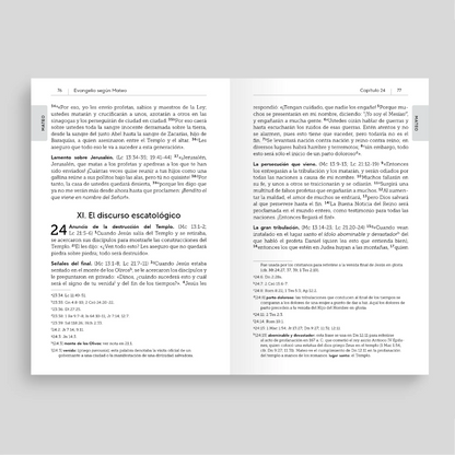 Interior of La Biblia de la Iglesia en América: Nuevo Testamento open to chapter 24 of the Gospel of Matthew