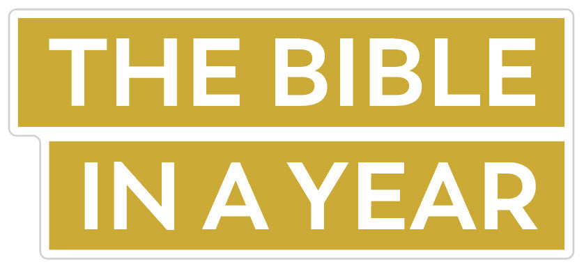 Paquete de pegatinas La Biblia en un año