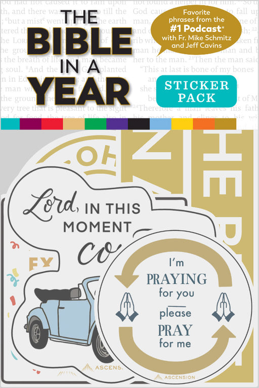 The Bible in a Year Sticker Pack