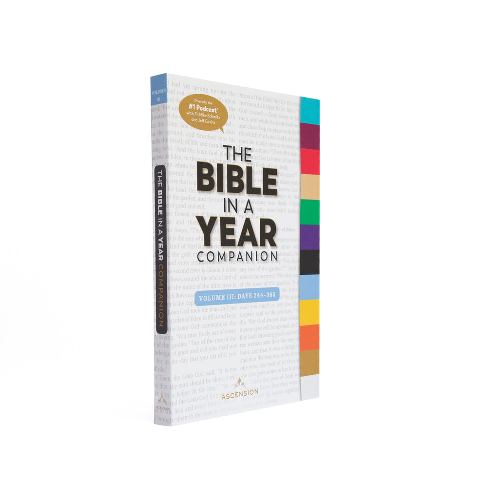 Man-oh-Man Bible in a Year Sticker – Ascension