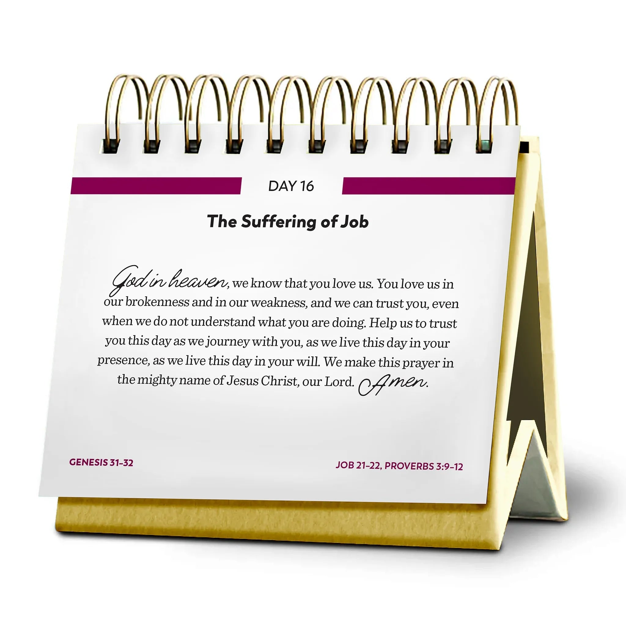 Bible in a Year Perpetual Daily Calendar