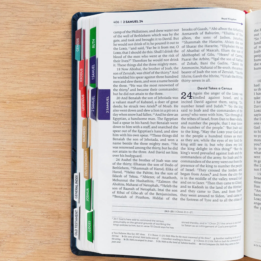 The Great Adventure Catholic Bible Indexing Tabs