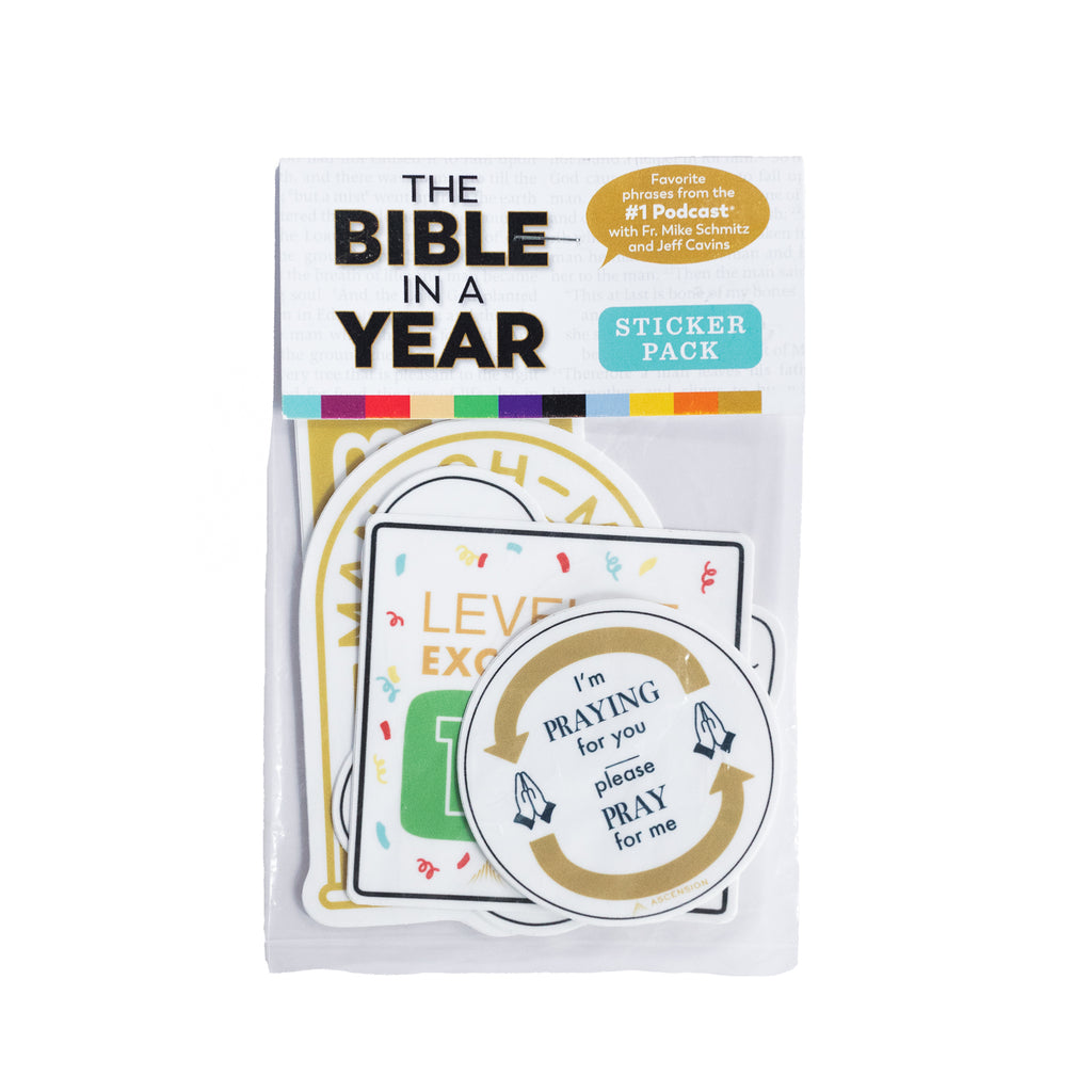 Paquete de pegatinas La Biblia en un año