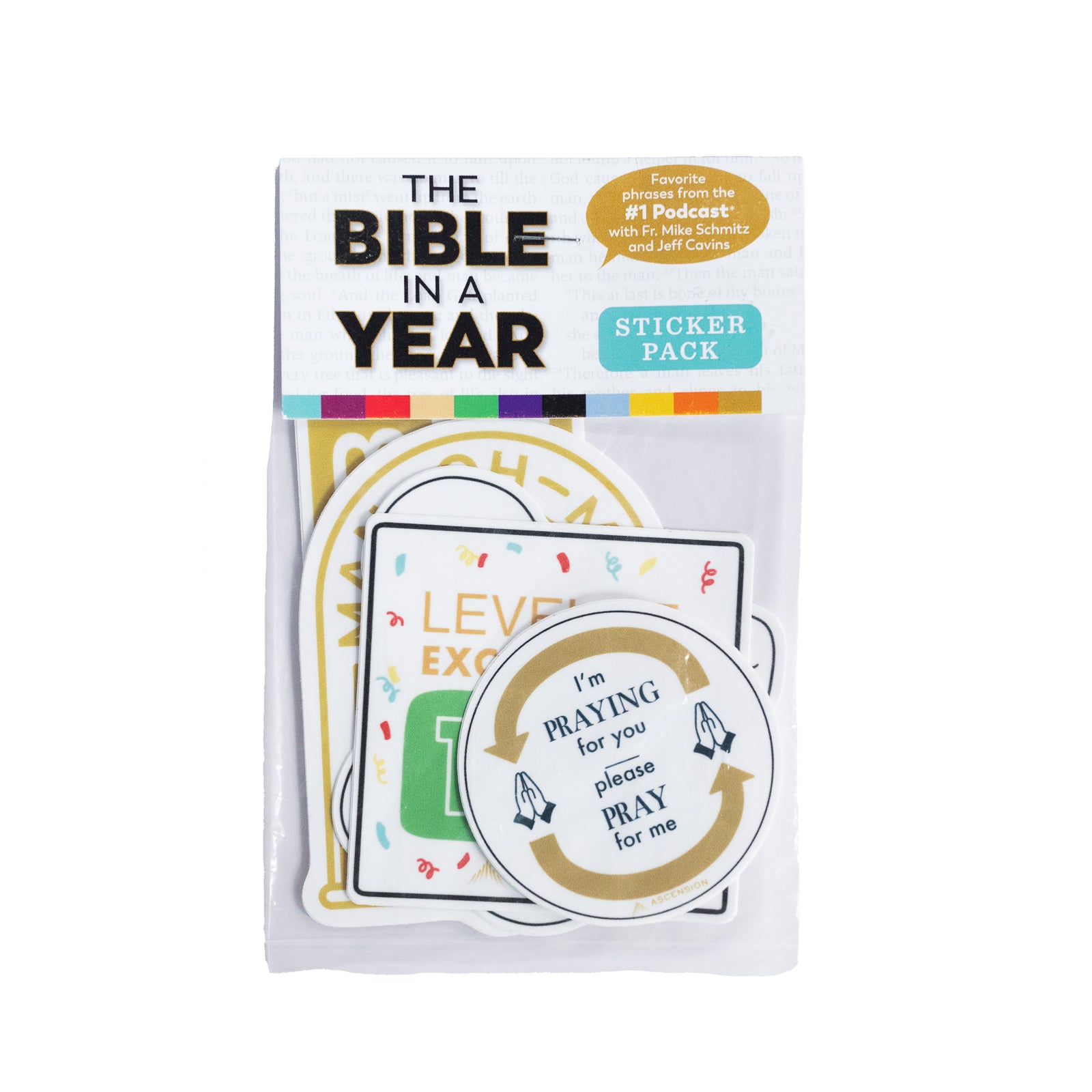 Paquete de pegatinas La Biblia en un año