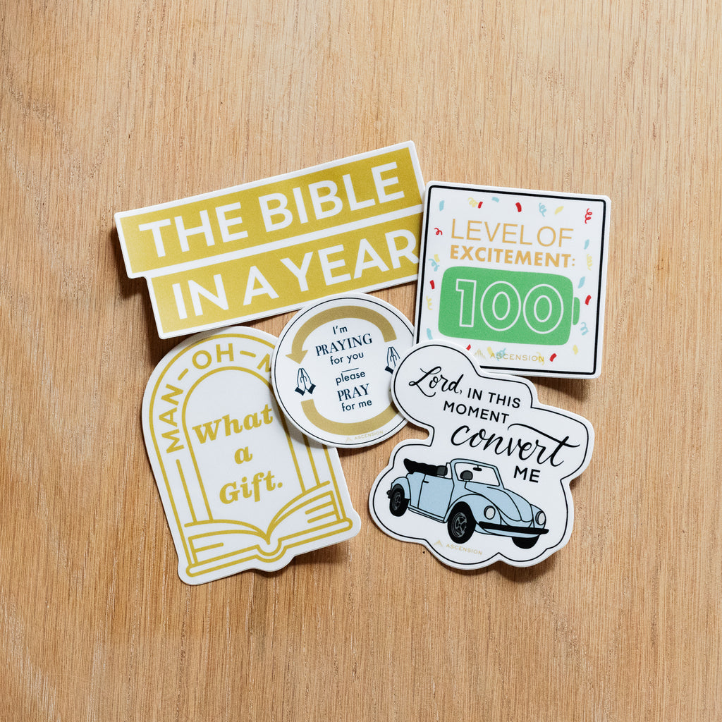 Paquete de pegatinas La Biblia en un año
