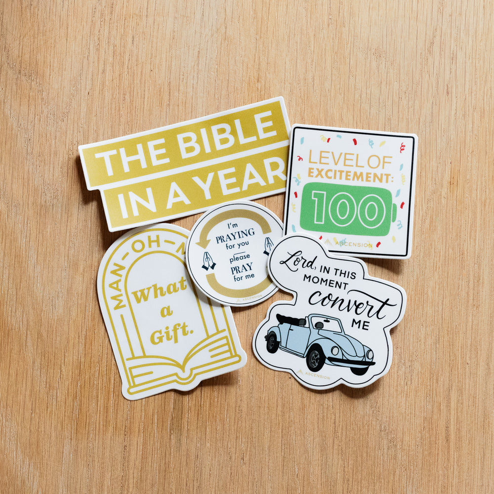 The Bible in a Year Sticker Pack