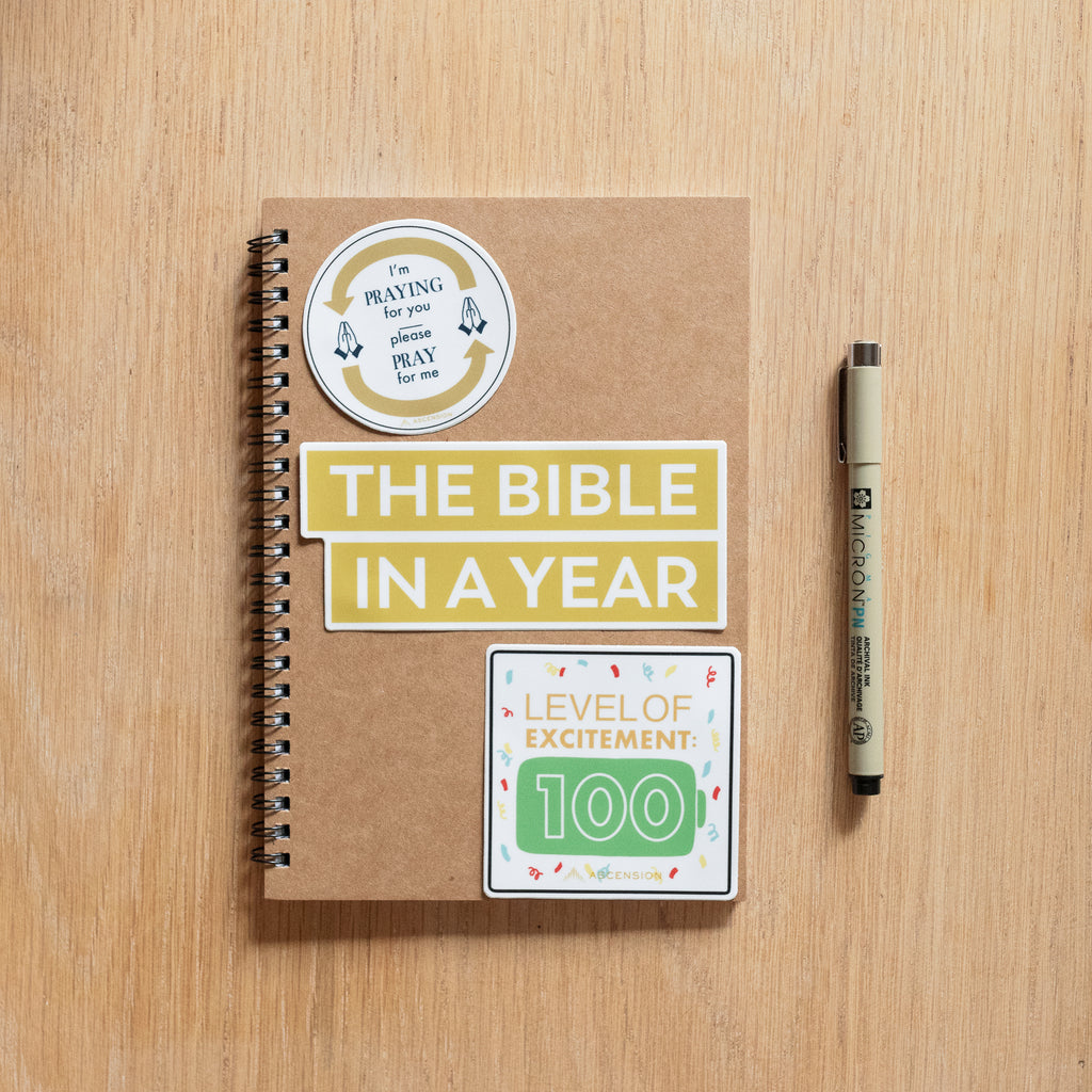 Paquete de pegatinas La Biblia en un año