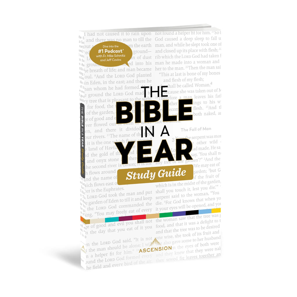 Book titled 'The Bible in a Year Study Guide' on a light background