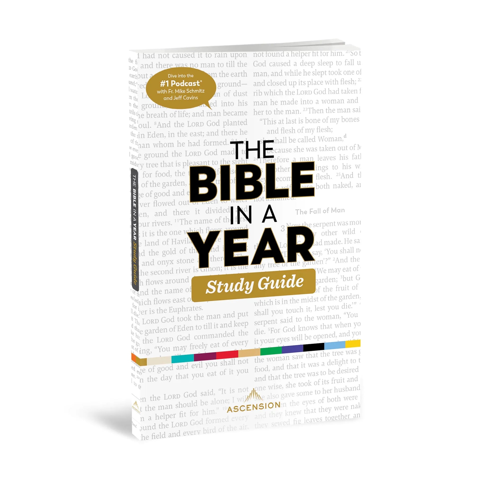 Book titled 'The Bible in a Year Study Guide' on a light background