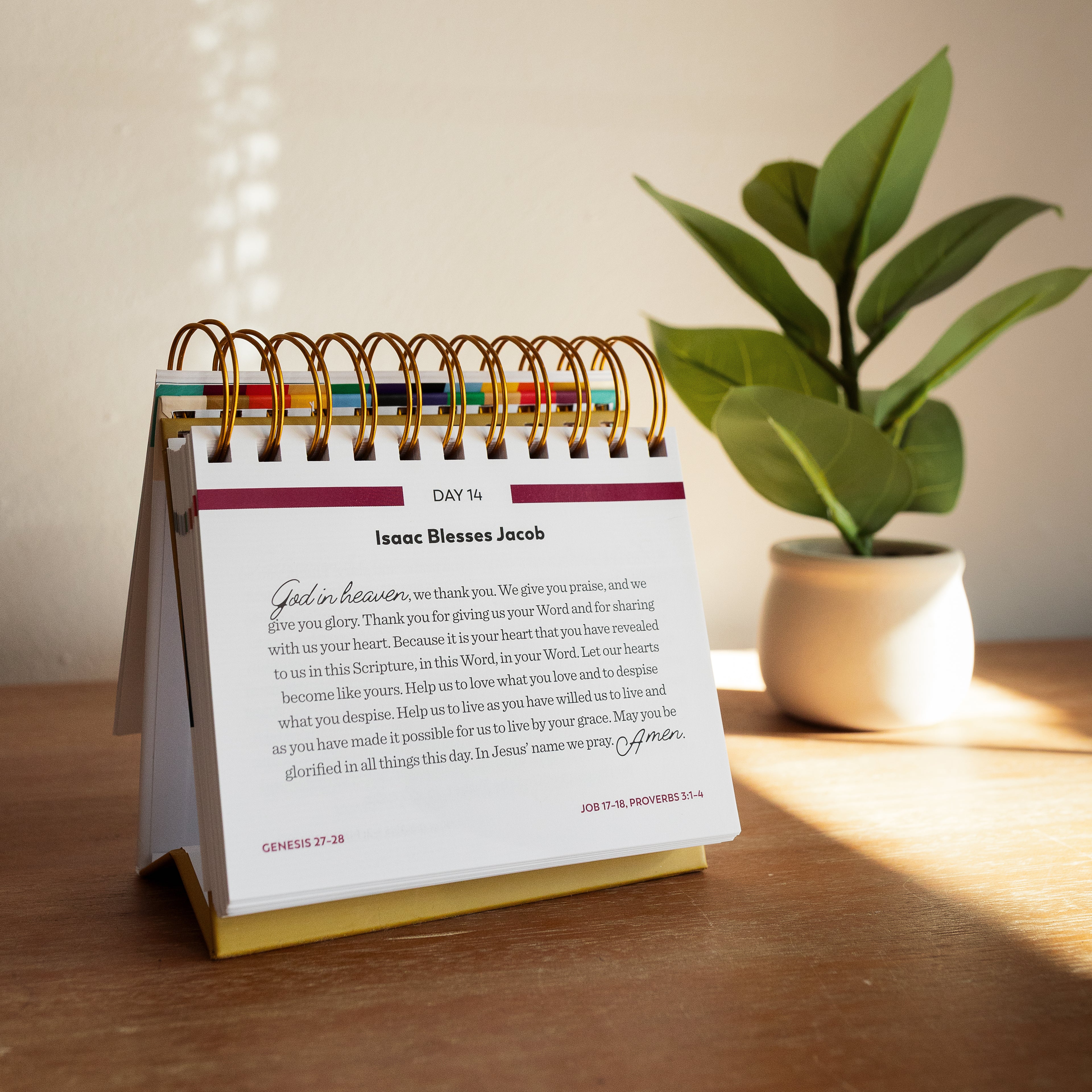 Calendario perpetuo diario de La Biblia en un año