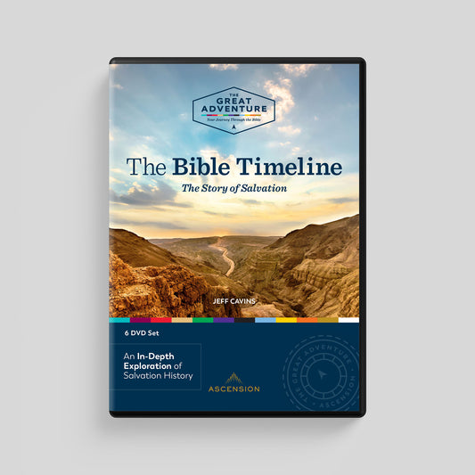 The Bible Timeline: The Story of Salvation, DVD Set