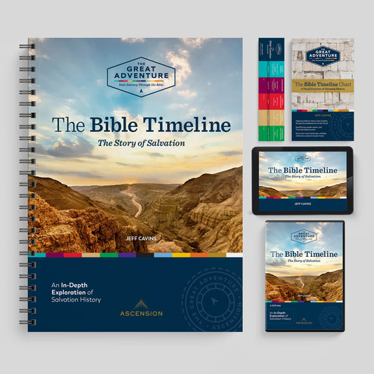 The Bible Timeline: The Story of Salvation, Starter Pack