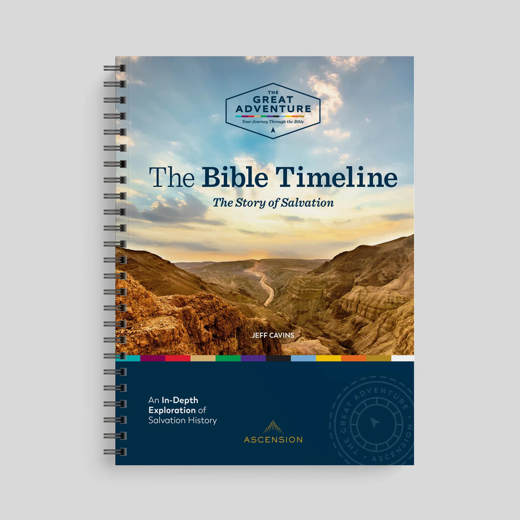The Bible Timeline: The Story of Salvation, Starter Pack (2025)