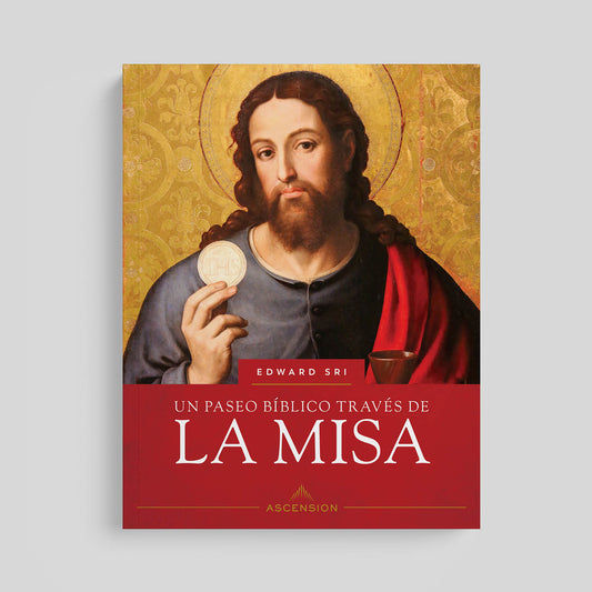 Un paseo bíblico a través de la Misa, Libro de Trabajo