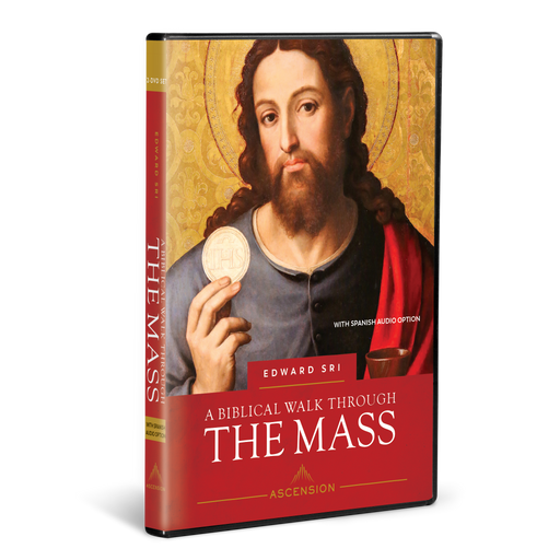 Un Paseo Bíblico a través de la Misa, Conjunto de DVDs (edición del 10º Aniversario)