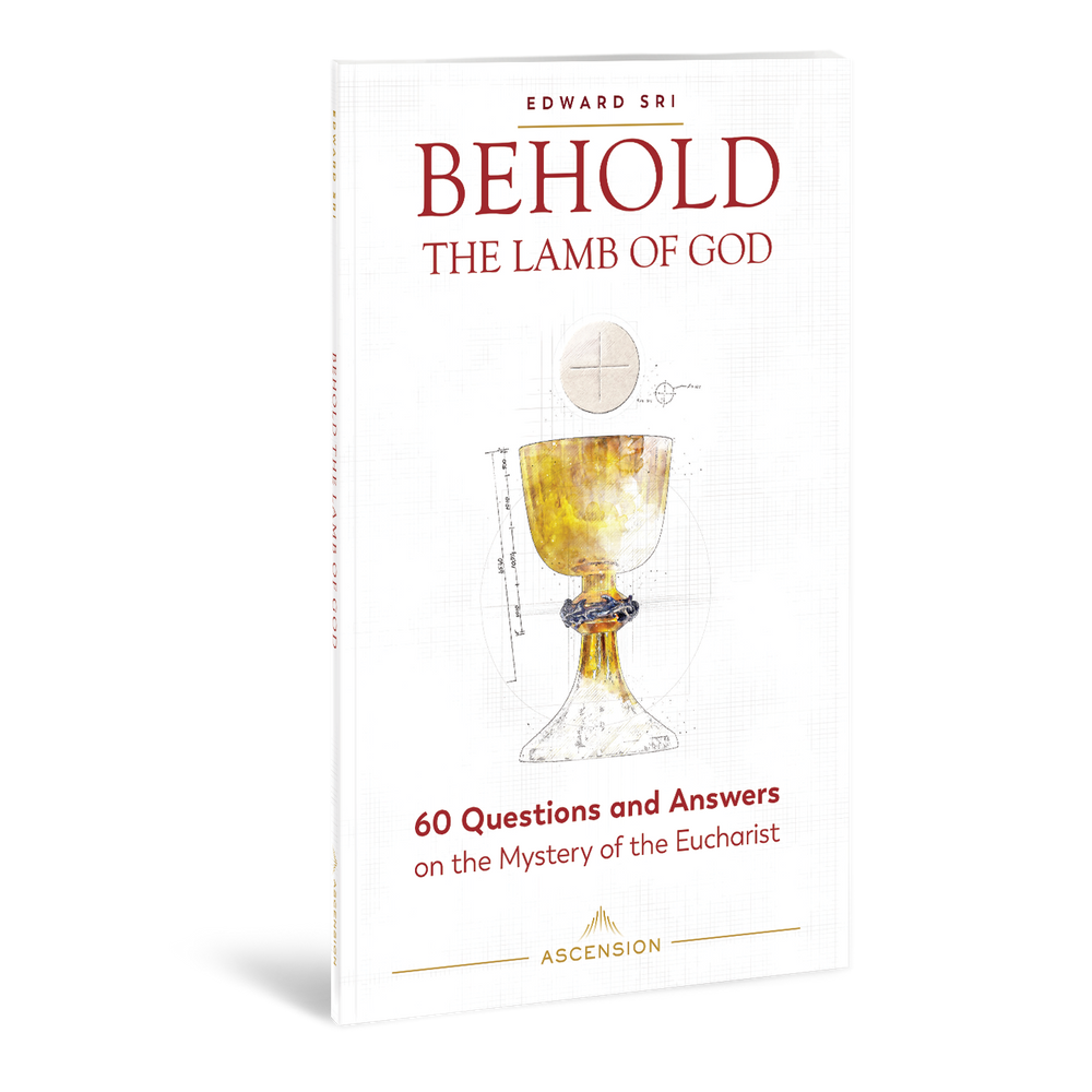 Behold The Lamb Of God 60 Questions And Answers On The Mystery Of The behold-the-lamb-of-god-60-questions-and-answers-on-the-mystery-of-the
