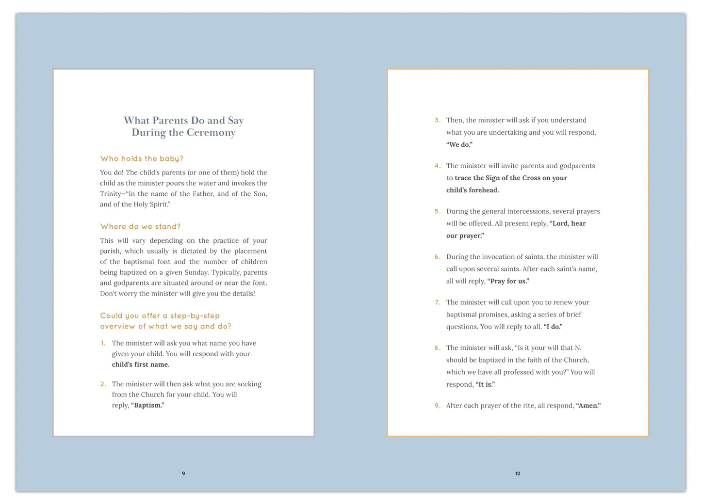 Belonging: Baptism in the Family of God, Starter Pack