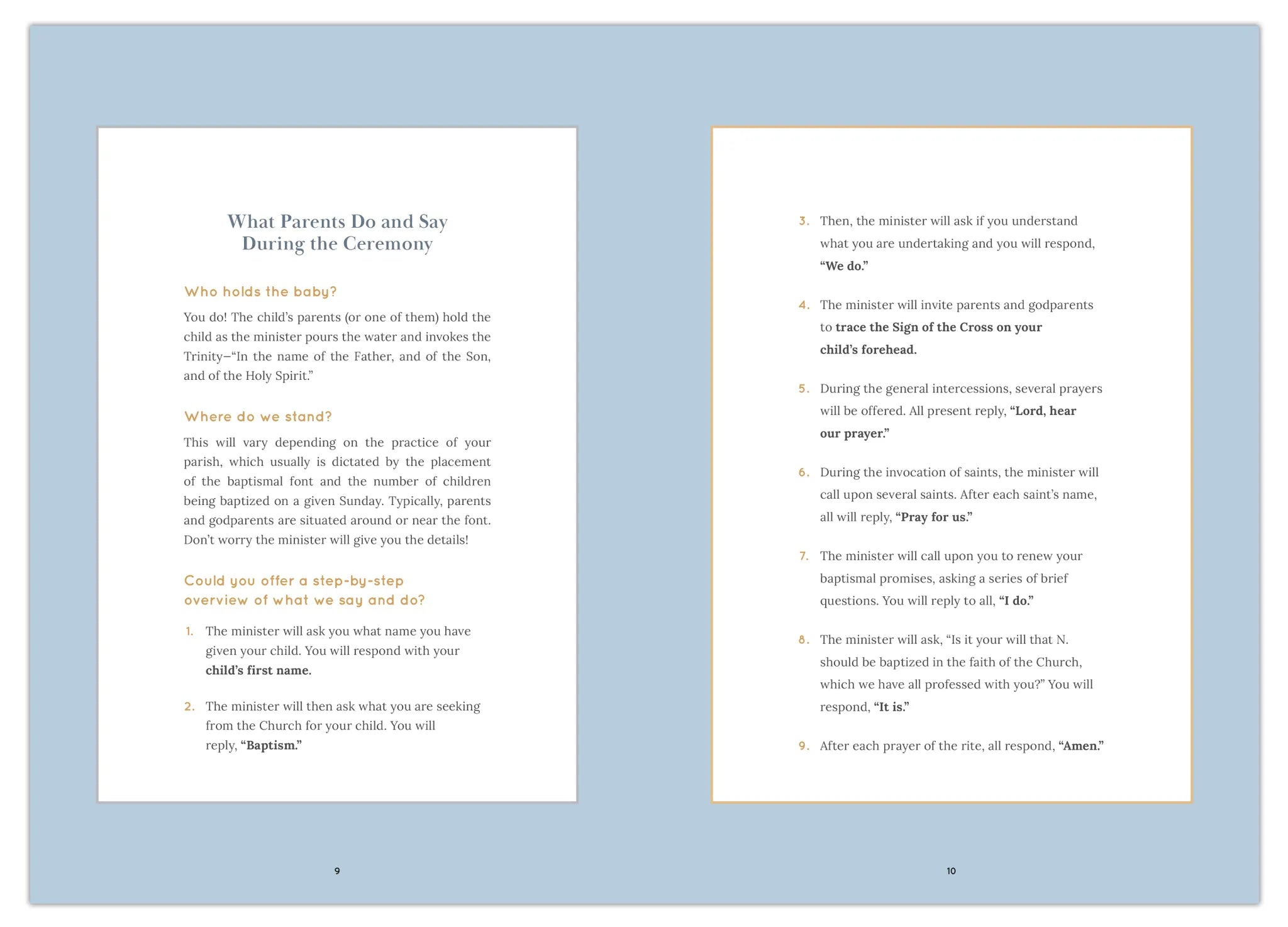 Belonging: Baptism in the Family of God, Starter Pack