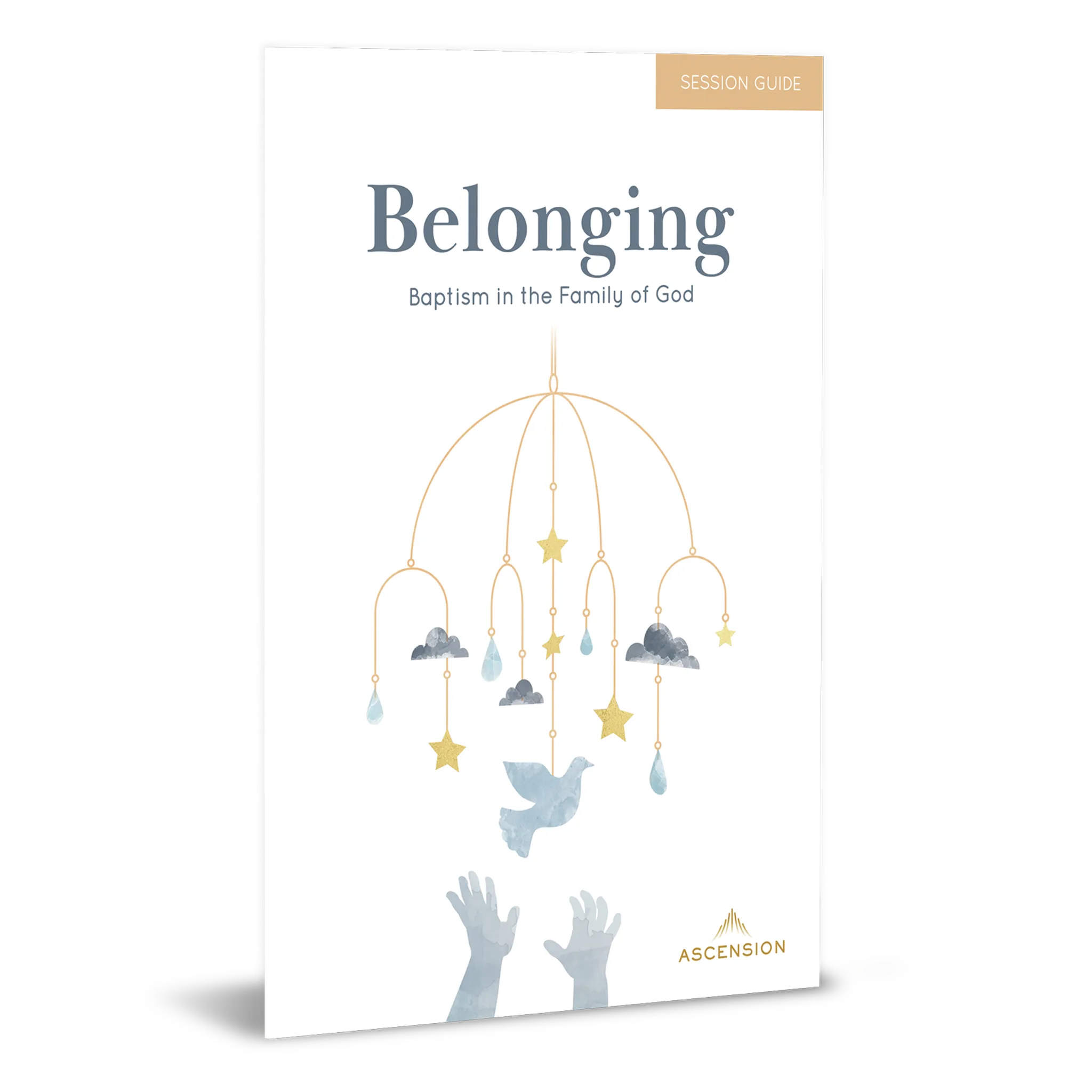 Belonging: Baptism in the Family of God, Session Guide