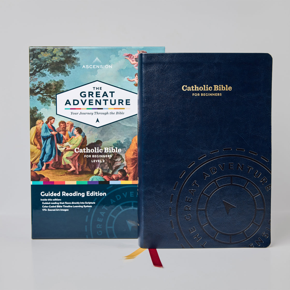 La Gran Aventura de la Biblia Católica para Principiantes
