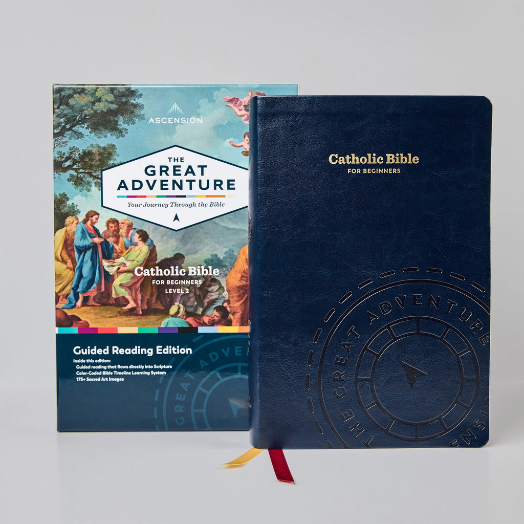 La Gran Aventura de la Biblia Católica para Principiantes