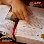 La Gran Aventura de la Biblia Católica para Principiantes