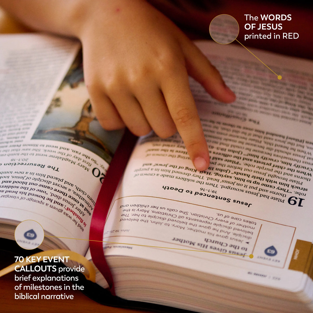 La Gran Aventura de la Biblia Católica para Principiantes