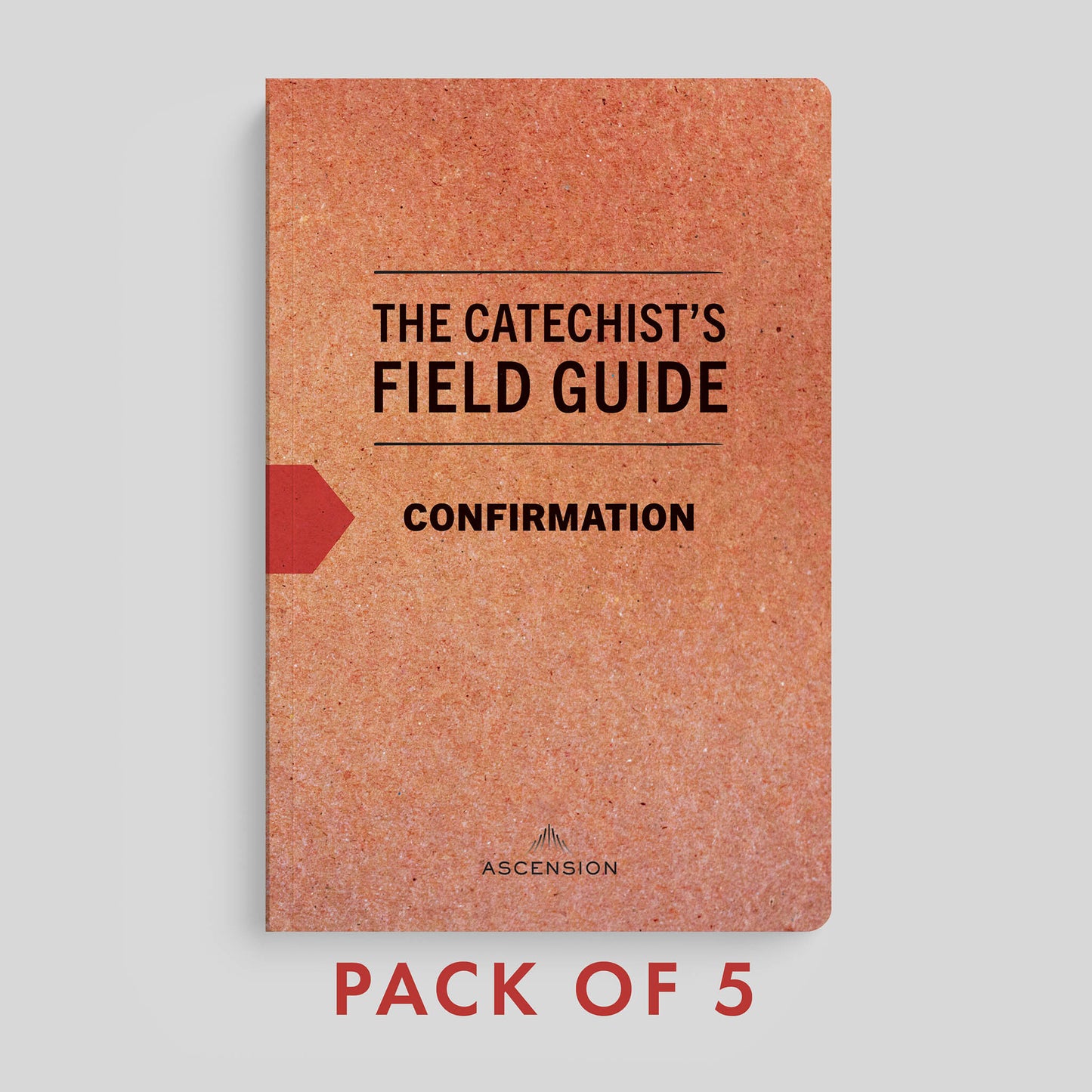 The Catechist's Field Guide to Confirmation