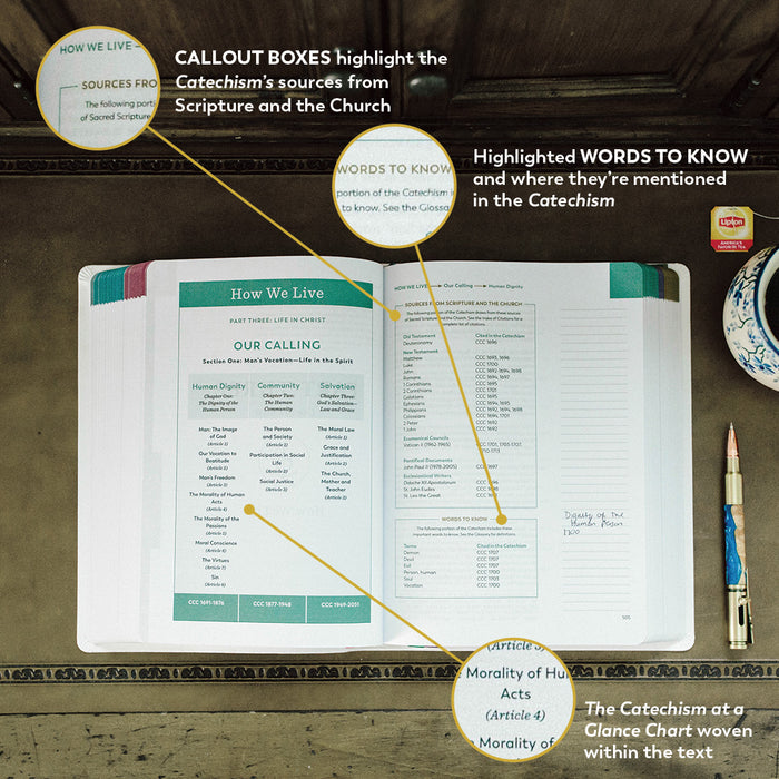 Catechism of the Catholic Church, Ascension Edition (Notetaking)