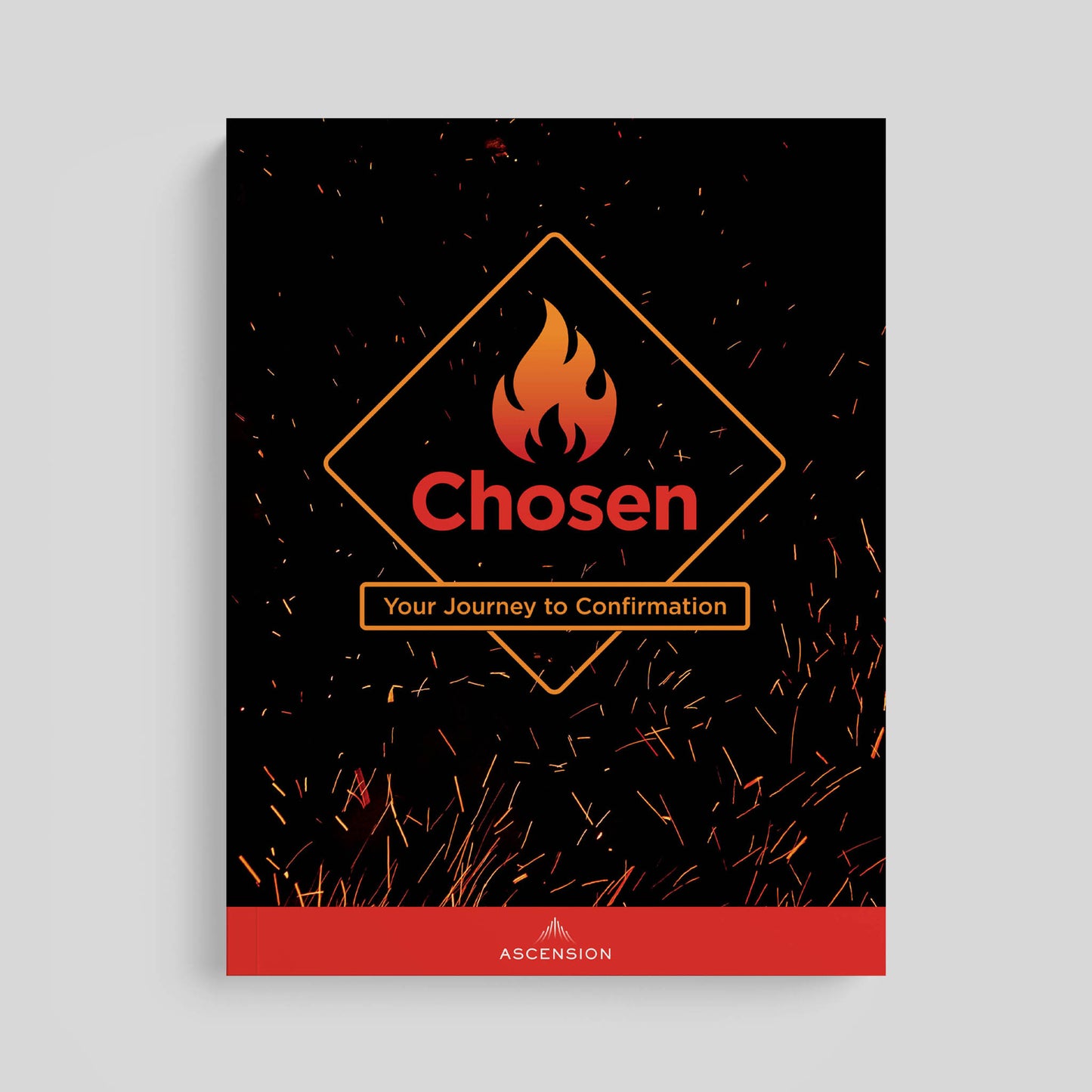 Chosen: Your Journey to Confirmation, Student Workbook Only