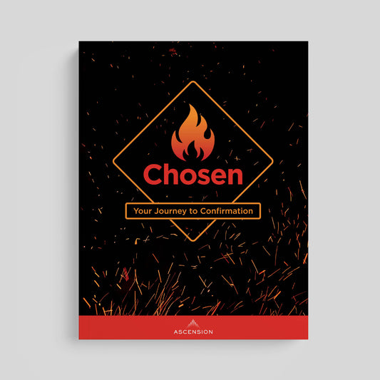 Chosen: Your Journey to Confirmation, Student Workbook Only