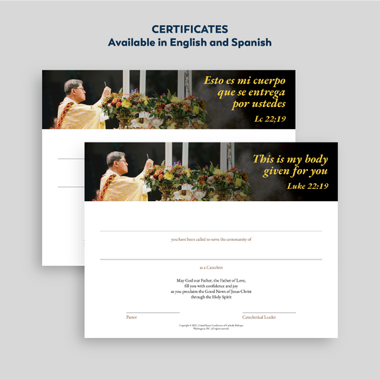 2025 Catechetical Sunday Materials