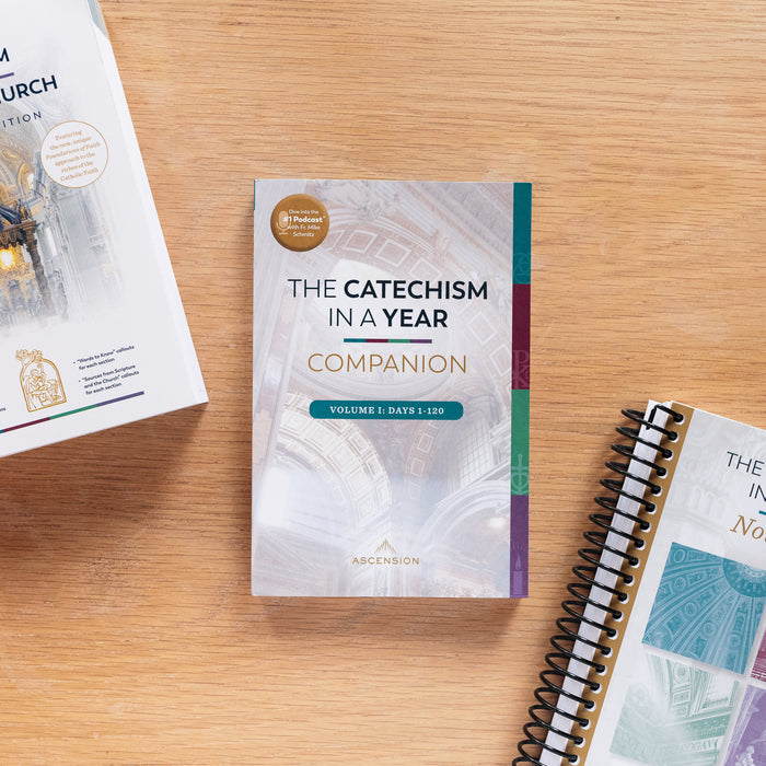 The Catechism in a Year Companion, Volume I