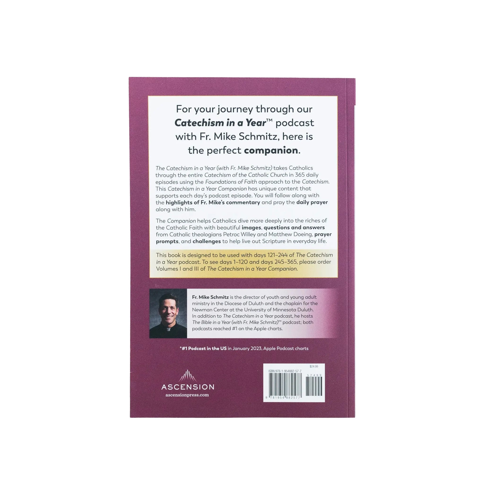 The Catechism in a Year Companion, Volume II