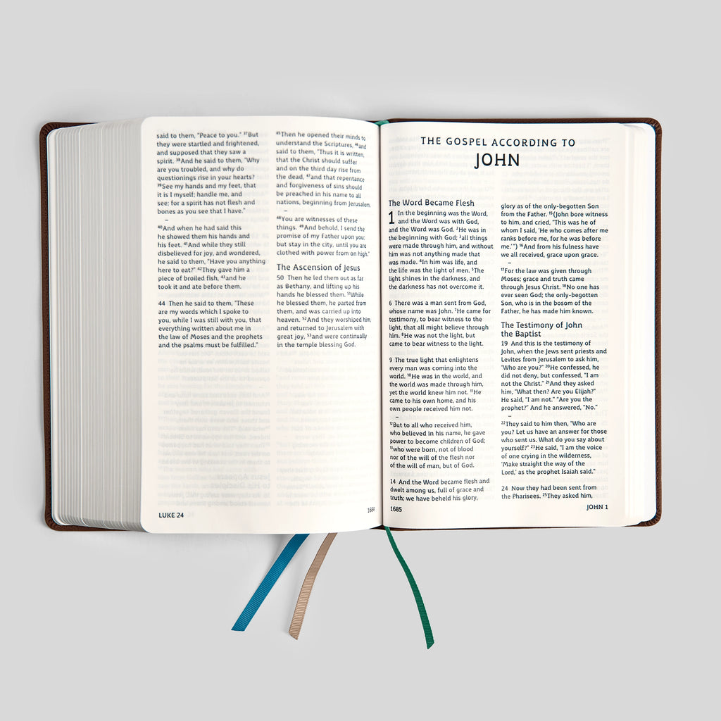 La Biblia RSV-2CE, Edición para Disléxicos