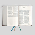 La Biblia RSV-2CE, Edición para Disléxicos