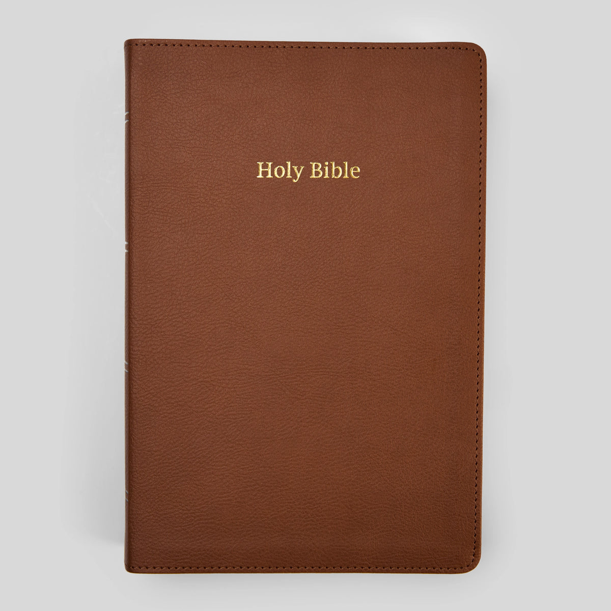 La Biblia RSV-2CE, Edición para Disléxicos