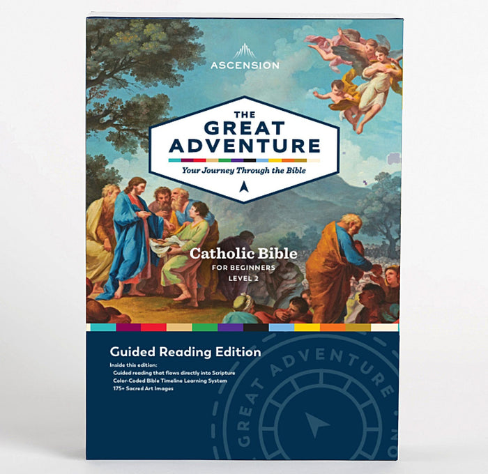 The Great Adventure Bible for Beginners
