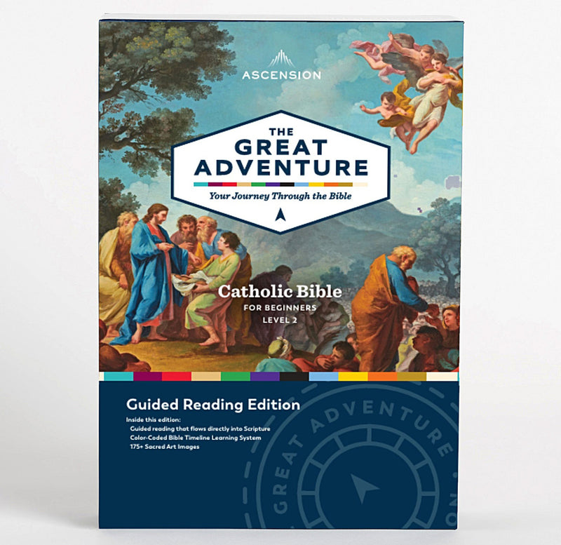 The Great Adventure Bible for Beginners