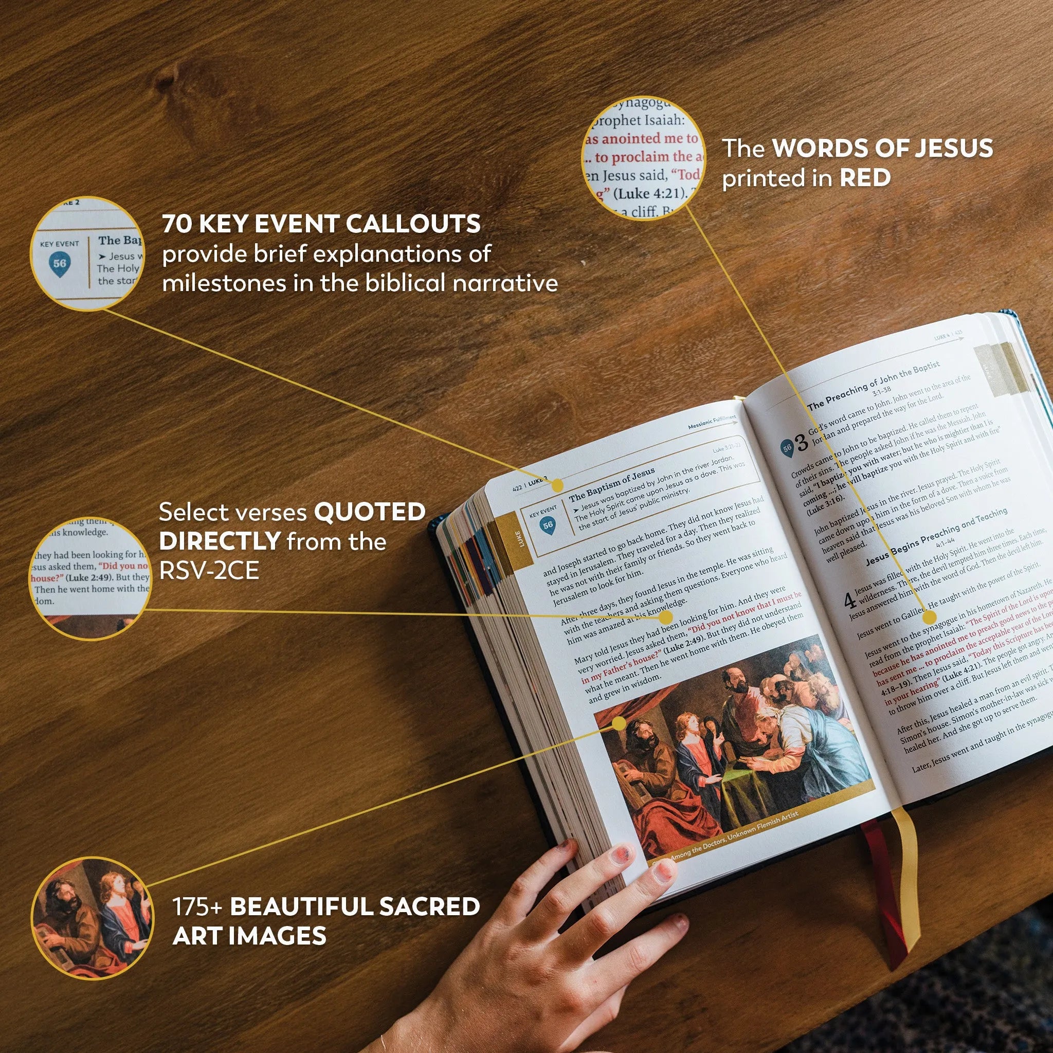The Great Adventure Catholic Bible for Young Beginners