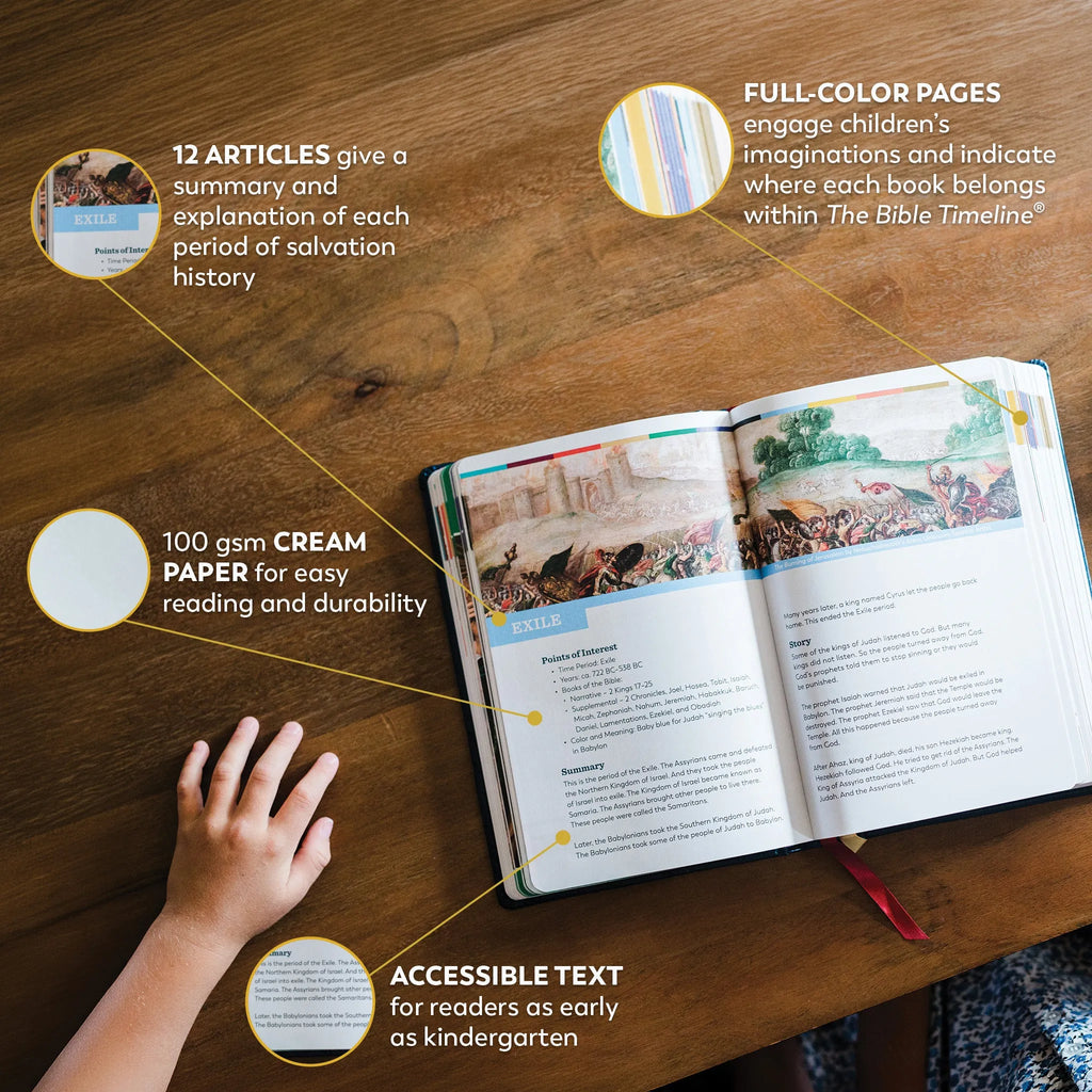 The Great Adventure Catholic Bible for Young Beginners