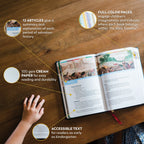 The Great Adventure Catholic Bible for Young Beginners