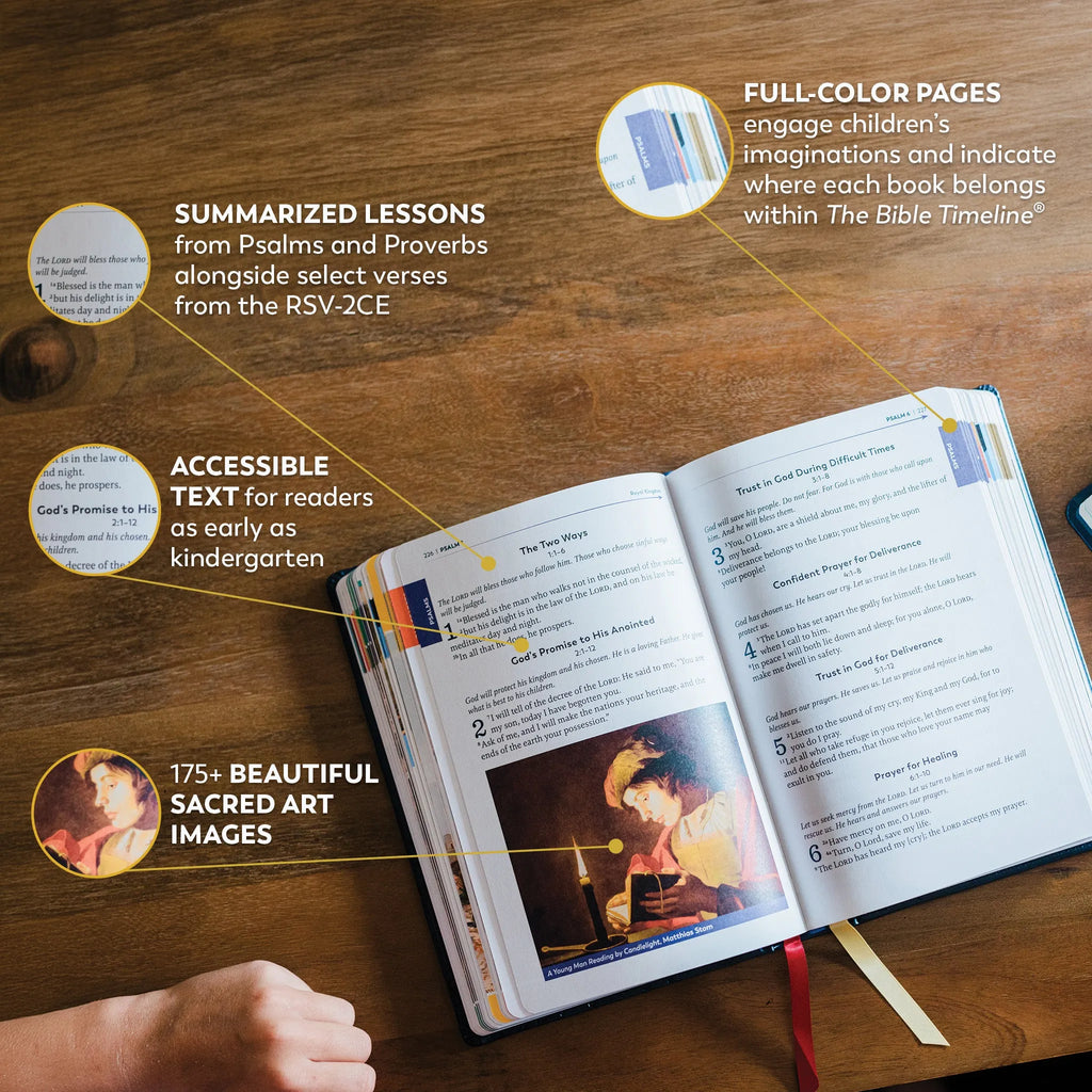 The Great Adventure Catholic Bible for Young Beginners