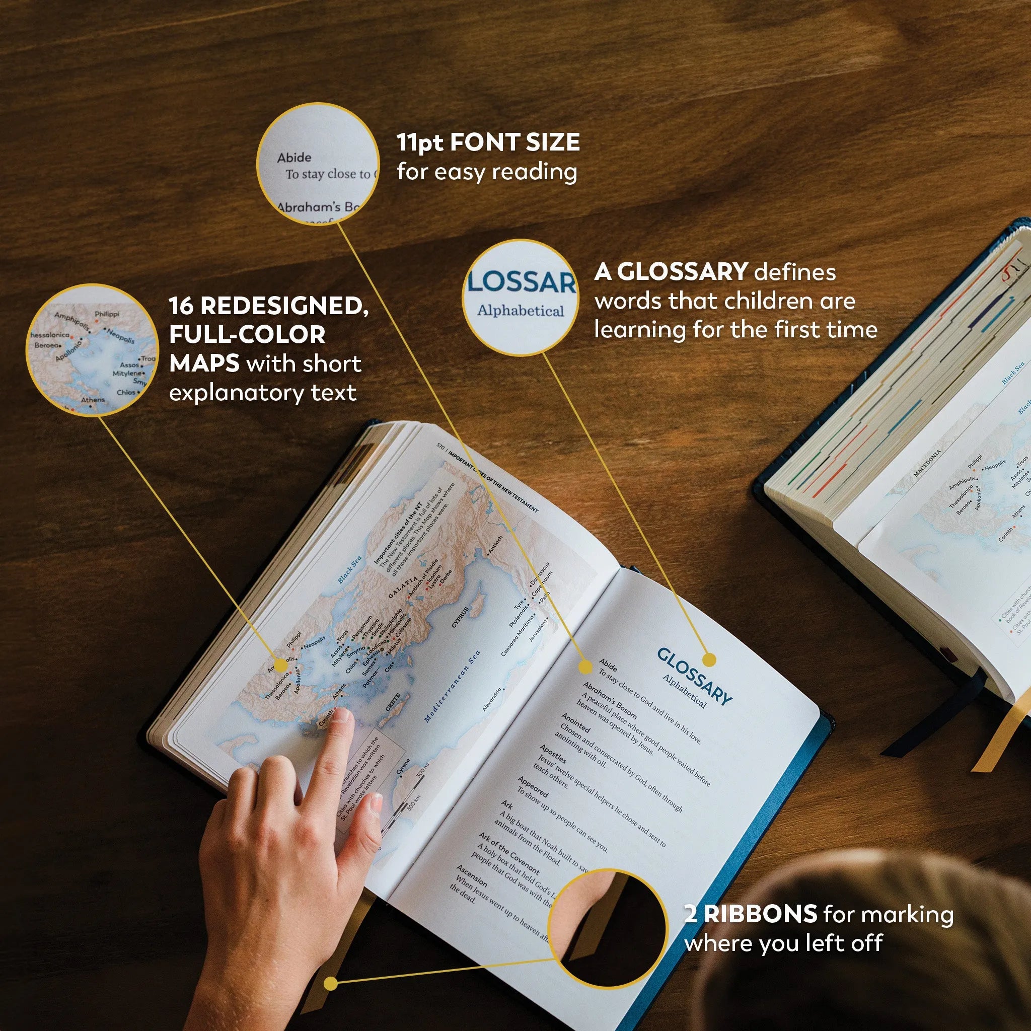 The Great Adventure Catholic Bible for Young Beginners