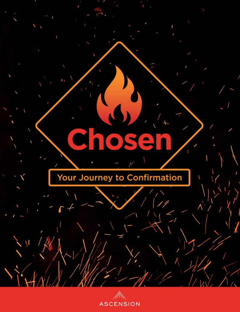 Chosen: Your Journey to Confirmation, Student Workbook Only