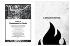 Chosen: Your Journey to Confirmation, Director's Manual (Includes Online Leader's Access)